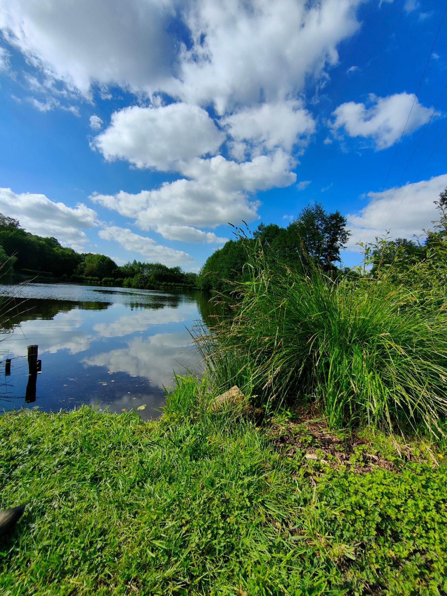 Gite De L Etang Du Planchon Balledent Extérieur photo